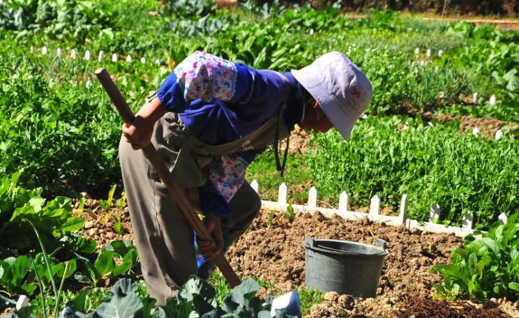 This small cultivator of fresh vegetables in China is probably practising agroecology already! Photo: Jing via Flickr (CC BY-NC-ND).