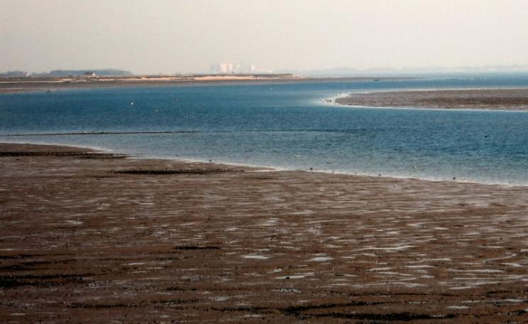 The Blackwater estuary with Bradwell nuclear power station in the background. Photo: Michael Szpakowiski via Flickr (CC BY-NC-SA).