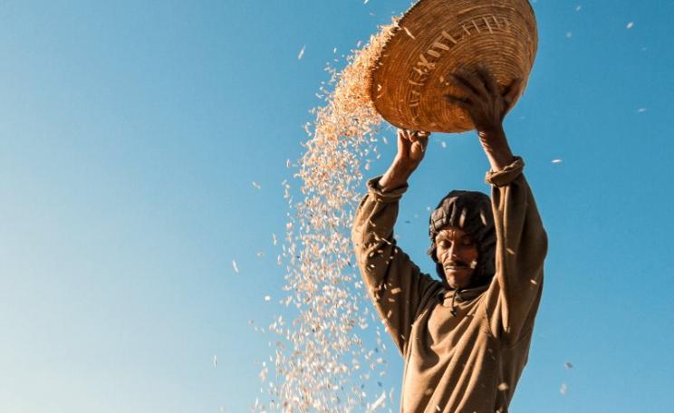 A farmer sows his seed in Asmara, Maekel, Eritrea. Photo: Andrea Moroni via Flickr (CC BY-NC-ND).