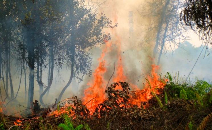Forest fires at Palangkaraya, Central Kalimantan, Indonesia, September 2011. Photo: Rini Sulaiman/ Norwegian Embassy for Center for International Forestry Research (CIFOR) via Flickr (CC BY-NC-ND).