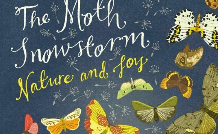 From the front cover of 'The Moth Snowstorm: Nature and Joy' by Michael McCarthy.