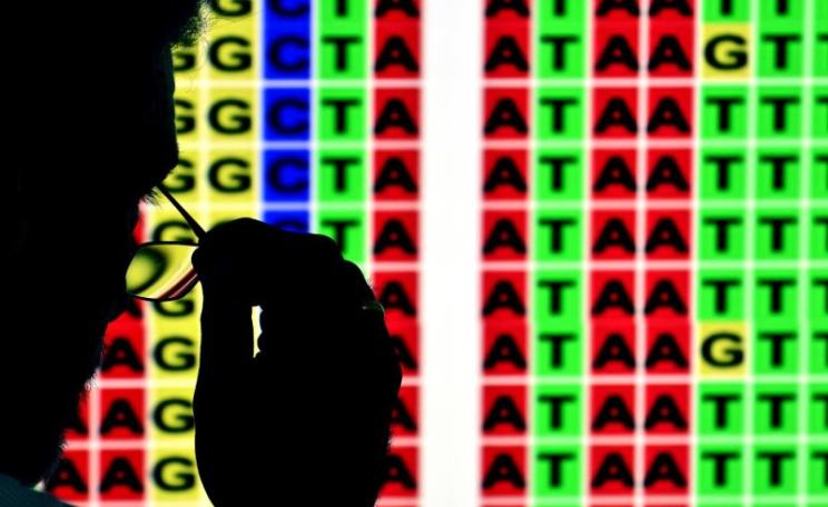 Decoding the cassava genome. Photo: Neil Palmer / CIAT via Flickr (CC BY-NC-SA).