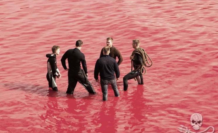 Danish Faroese whale hunters in a sea of red. Photo: Eliza Muirhead / Sea Shepherd.