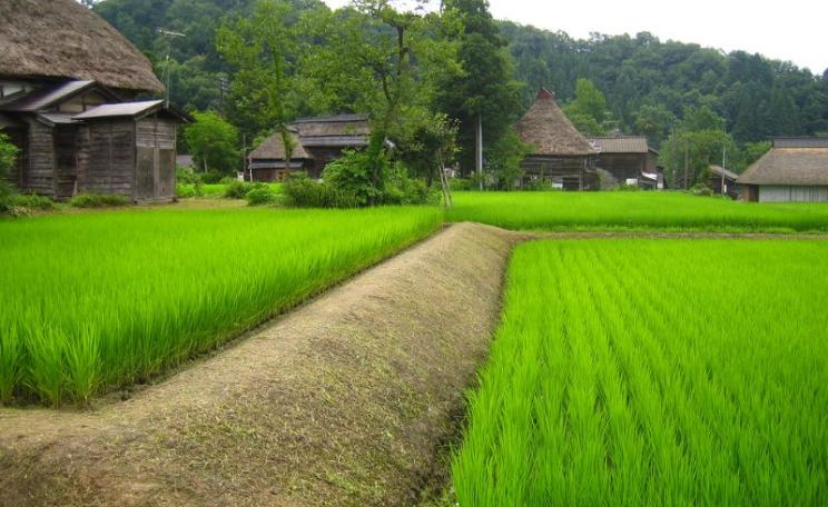 A rice field and some traditional farm houses in a small village in the South of Niigata, Japan. Photo: Norman Tannert via Flickr (CC BY-NC-ND).