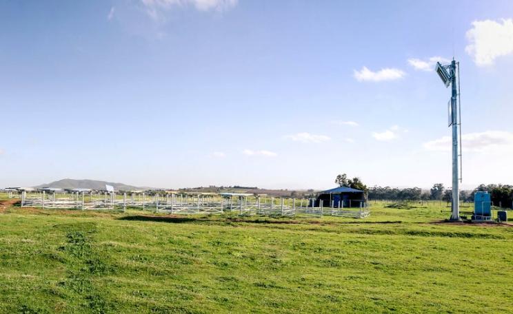 The 'plonkable heliostats'. doing their job. Photo: helio100.sun.ac.za/.