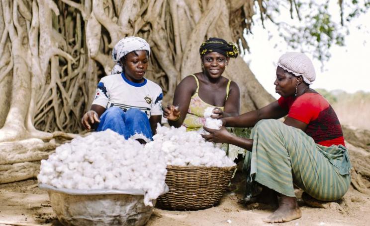 Women in Zorro village, Burkina Faso, desseding their cotton. But what chance have they got in global commodity markets that are systematically rigged against them? Photo: CIFOR via Flickr (CC BY-NC).