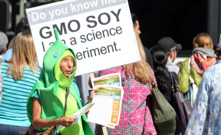 The protestor is right: GMOs are indeed a science experiment. And we are the guinea pigs. Photo: Quinn Dombrowski via Flickr (CC BY-SA).