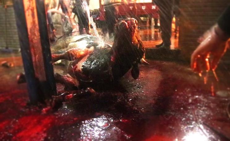 A bull from Romania meets a grisly death in Gaza following trans-shipment through Israel, winter 2014. Photo: Compassion in World Farming.