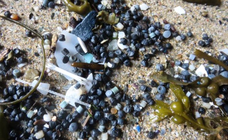 Nurdles found on the beach near Newquay in recent weeks. Photo: Tracey Williams / Rame Peninsula Beach Care.