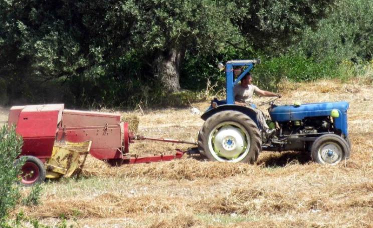 Make hay while the sun shines! This farmer in Cyprus can remain GMO-free - for now. Photo: Tony Woods via Flickr (CC BY-ND).
