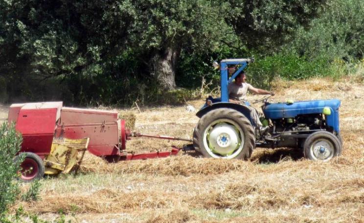 Make hay while the sun shines! This farmer in Cyprus can remain GMO-free - for now. Photo: Tony Woods via Flickr (CC BY-ND).