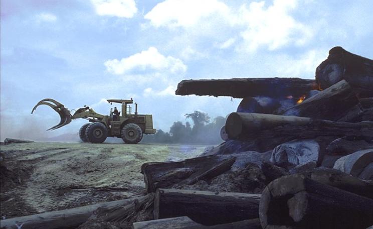 Even though the Baram dam is on hold, logging of the reservoir area and surrounding forest is proceeding apace. Photo: Rod Harbinson.