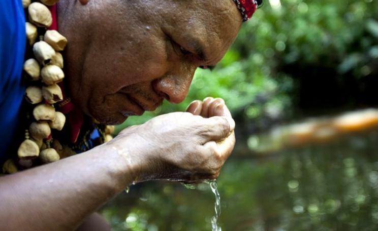 Cofan Indigenous leader Emergildo Criollo smells the petroleum contaminated river hear his home in the Amazon rainforest. Now the water is polluted, crops don't grow, and new illnesses and cancer have been introduced. Photo: Caroline Bennett / Rainforest