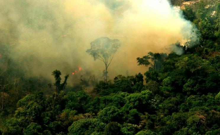 Burning forest in the Amazon at Flona do Jamanxim. Novo Progresso, Pará, Brazil. Photo: Leonardo F. Freitas via Flickr (CC BY-NC-SA).