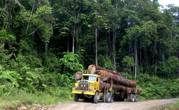 A truck transport huge logs in Indonesia. Photo: Hari Priyadi for Center for International Forestry Research (CIFOR) via Flickr (CC BY-NC-ND).