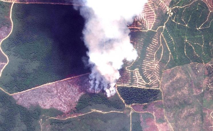 Fire in Tesso Nilo National Park, Sumatra, Indonesia, on 5th July 2015 - made available through a partnership of Global Forest Watch Fires and Digital Globe. Photo: World Resources Institute via Flickr (CC BY-NC-SA).