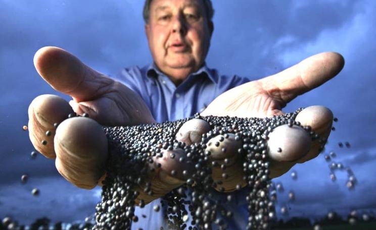 Australian farmer Geoffrey Carracher, who is against GM farming, with some canola seed that has been cross contaminated with GM seed from a nearby farm. Photo: Craig Sillitoe via Flickr (CC BY-NC-SA).