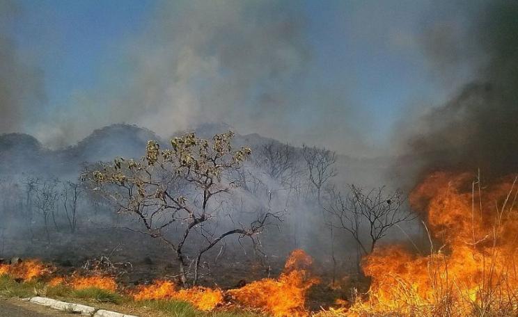 Devastating fire last year in the cerrado savanna region, one of Brazil’s most threatened biomes. Photo: José Cruz/ABr via Wikimedia (CC-BY).