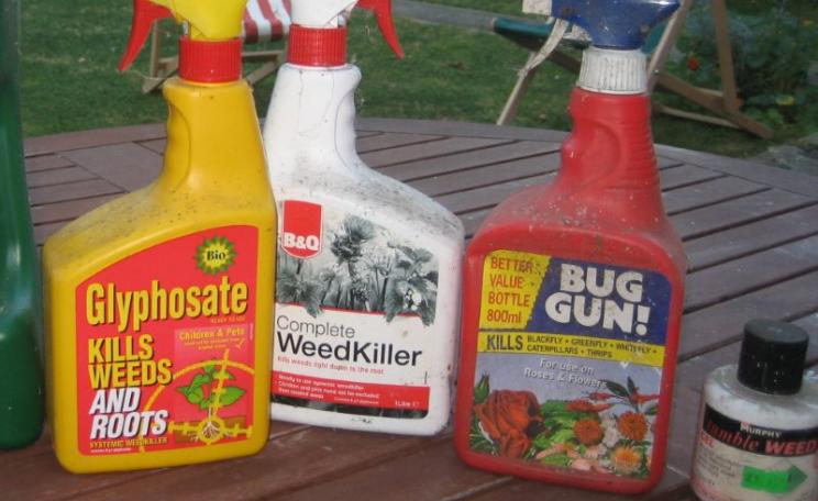 Glyphosate, the 'probable carcinogen' in your shed. But wil the EU re-licence it based on EFSA's deeply flawed, pro-industry scientific assessment? Photo: Kit Reynolds via Flickr (CC BY).