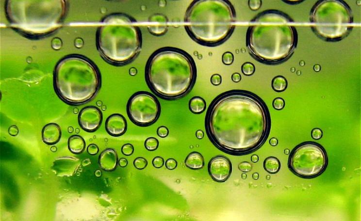 Biofuel production is just one of the applications of the new 'GMO 2.0' technologies. Photo: biofuel facility in La Jolla, CA, by Steve Jurvetson via Flickr (CC BY).