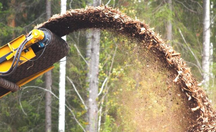 From forest to biomass. Photo: Asea! via Flickr (CC BY-NC-SA)