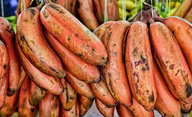 These red bananas are naturally red and high in beta carotene. So why the need to develop a patented GM banana that does the same job? Photo: Choo Yut Shing via Flickr (CC BY-NC-SA).