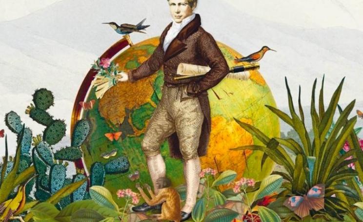 Contemporary illustration of Alexander von Humboldt - used in the cover of 'The Invention of Nature'.