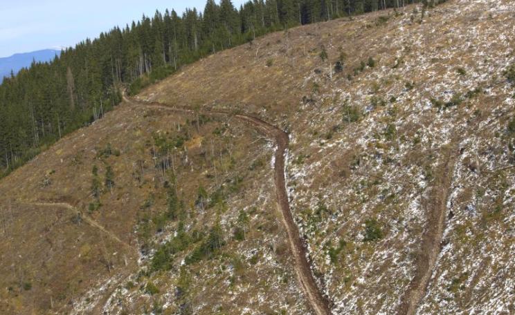 An illegal clear-cut on steep-sided hills in Harghita County, just a small part of a much larger illegal clear-cut. Photo: Ecostorm.