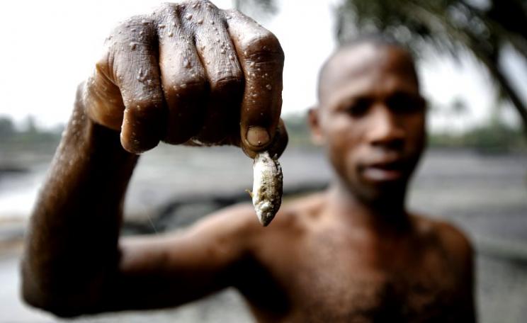 What was left for the Nigerian people after the corrupt oil deal? Ogoniland fisherman showing the effect of Shell's oil pollution in a local creek. Photo: Milieudefensie via Flickr (CC BY-NC-SA).
