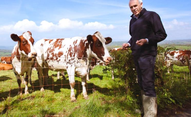 Patrick Holden with his dairy herd. Photo: Steph French (www.stephfrench.com) / SFT.
