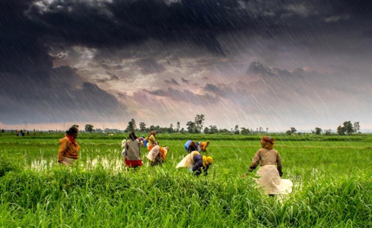 Farmers on the storm ... Madhya Pradesh, 31st July 2013. Photo: Rajarshi MITRA via Flickr (CC BY).