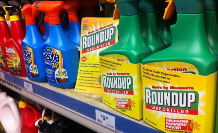 Monsanto's Roundup flagons on sale - relabelled by activists from Global Justice Now, 28th April 2016. The main active ingredient is glyphosate. Photo: Global Justice Now via Flickr (CC BY).