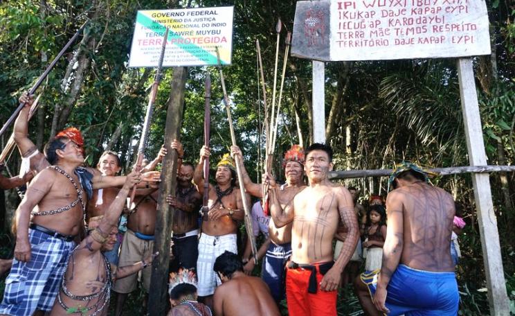 Munduruku indigenous people set up a sign to demarcate their land. Photo: Greenpeace.