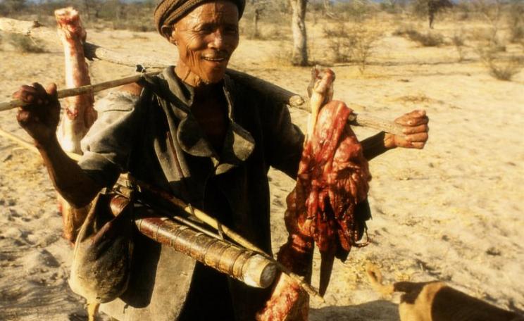 Bushmen have hunted at subsistence levels in the Kalahari for millennia. Photo: Survival International.