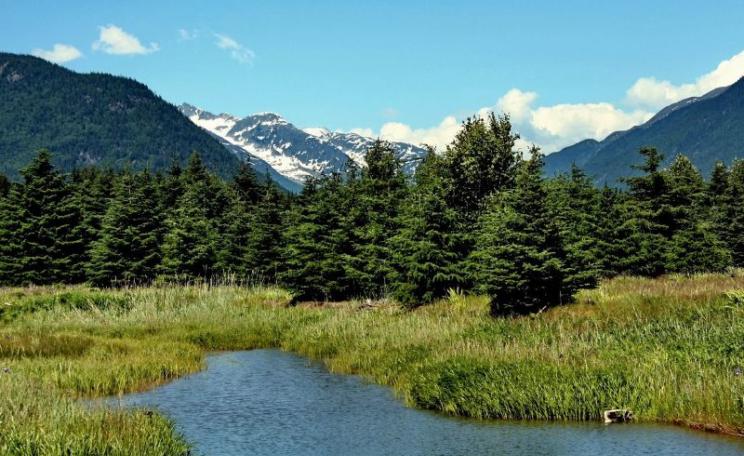 Wilderness in Alaska, USA. Photo: Travis Wise via Flickr (CC BY).