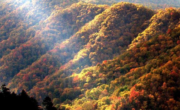 Morning Sun Beams on the Thomas Divide in North Carolina as seen from Newfound Gap in the Great Smoky Mountains National Park, where the Appalachian Trail crosses US 441. Photo: John Britt via Flickr (CC BY-NC-SA).