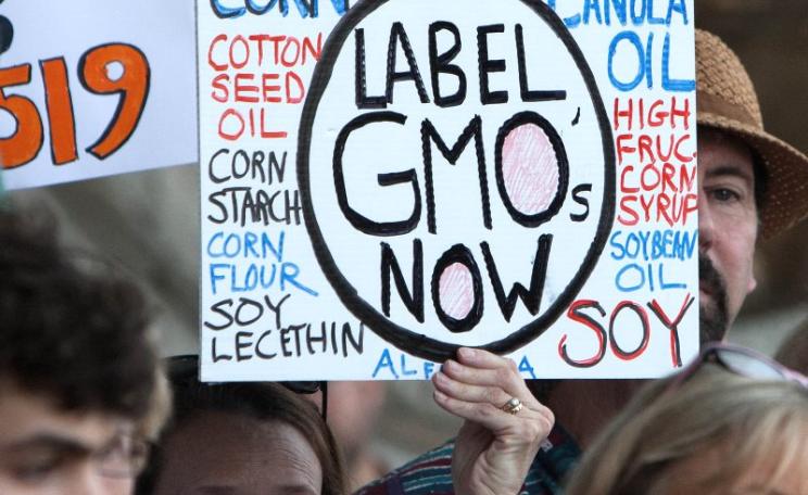 Rally to support GMO food labeling at the Connecticut State Senate, 21st May 2013. Photo: CT Senate Democrats via Flickr (CC BY-NC-ND).