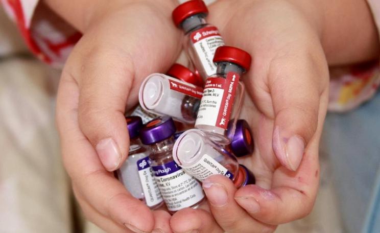 What's lurking in these vaccines? Photo: Carlos Reusser Monsalvez via Flickr (Public Domain).