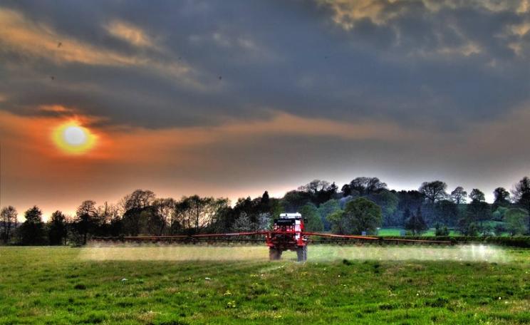 After Brexit, currently banned pesticides like atrazine could once again contaminate the British countryside. Photo: Will Fuller via Flickr (CC BY-NC-ND).