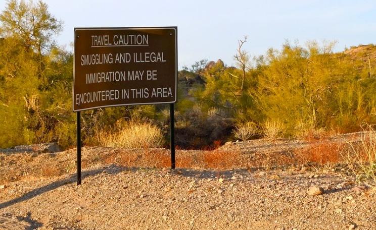 Bisect this landscape with a wall, and how will the wildlife fare? Photo: Near the US-Mexico border in Arizona by Corey Taratuta via Flickr (CC BY).