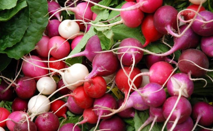 Radical roots ... radishes in a Boston farmers' market. Photo: WBUR Boston's NPR News Station via Flickr (CC BY-NC-ND).
