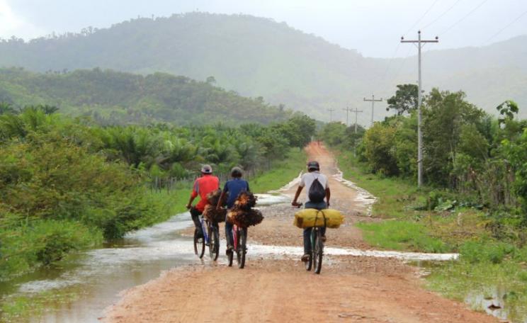 A dirt road near Dinant Corporation's El Tumbador plantation, Honduras, where the corporation is locked into a deadly land war with local campesino communities. Photo: ICIJ via Flickr (CC BY-NC-ND).