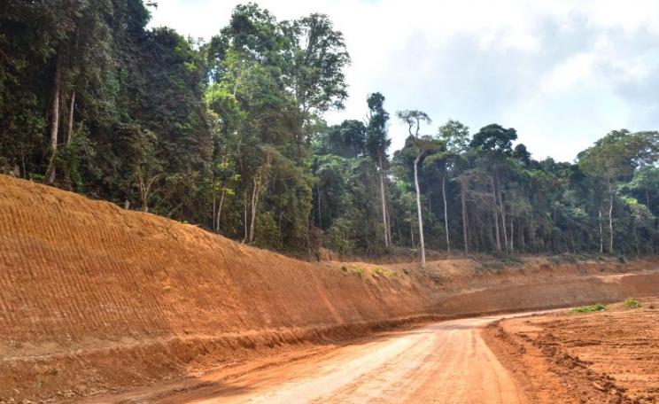 Chinese-built road under construction through rainforest in Mouloundou Department, Ogooue-Lolo, Gabon. Photo: jbdodane via Flickr (CC BY-NC).