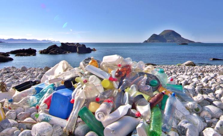 Gathered on a remote stretch of beach at  Rekvik, Troms Fylke, Norway: 211 bottles and cans. Photo: Bo Eide via Flickr (CC BY-NC-ND).