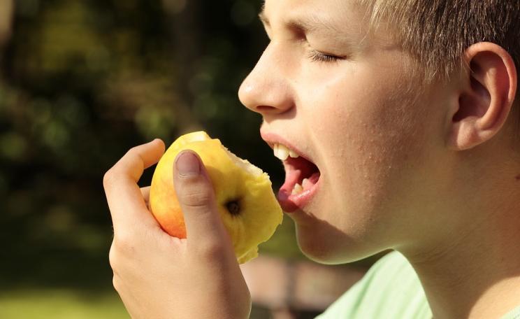 A new report finds fruit given to children at school retain some pesticides. Image is illustrative only.