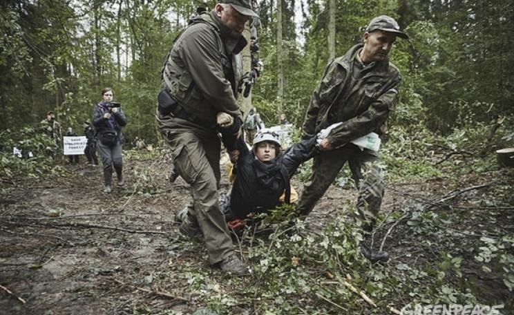 An activist being removed from the protest - 6 Sept 2017. © Grzegorz Broniatowski, via Greenpeace