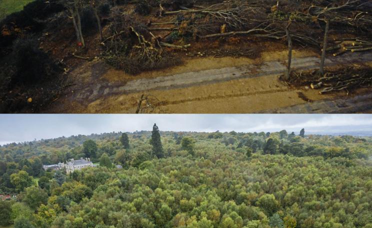 Emmetts Garden in Kent - Ninety-five per cent of the surrounding woodland was destroyed. (c) National Trust