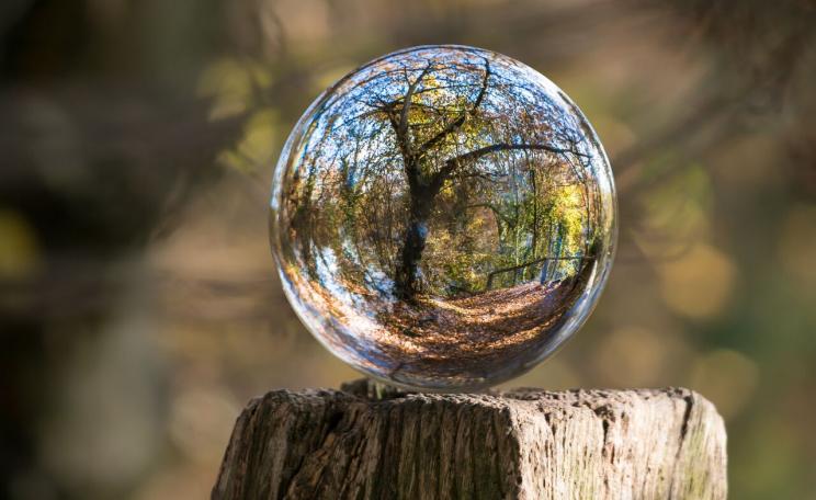 You don't need a crystal ball to know tree planting has significant benefits.