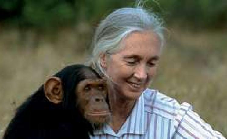 JaneGoodall_MAIN.jpg