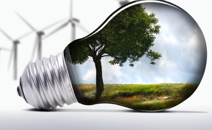 Abstract photo with tree in lightbulb